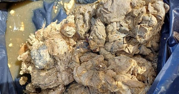 Wipes and rocks wreaking havoc on Tasman's wastewater