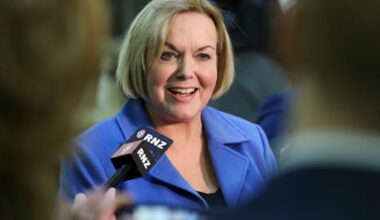 National MP Judith Collins announces she's leaving Parliament