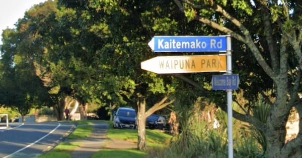 Girl, 14, in hospital after being hit by car amid rowdy Tauranga party