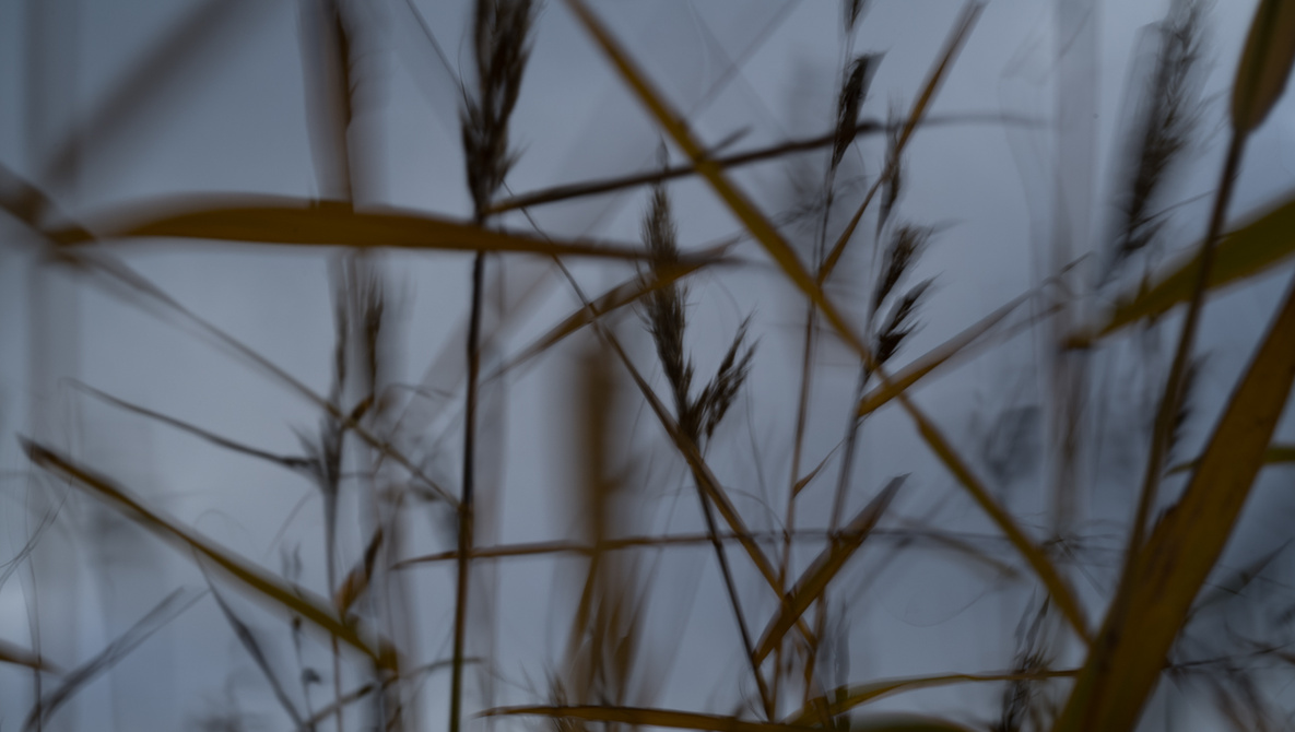 Why Photographers Confuse Creativity With Effects