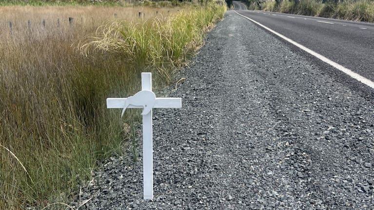 Nik Minchin said 10-20 kiwi are killed on Russell Peninsula roads each year.