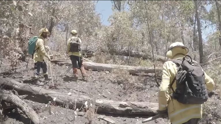 Arduous conditions in Victoria bushfires.