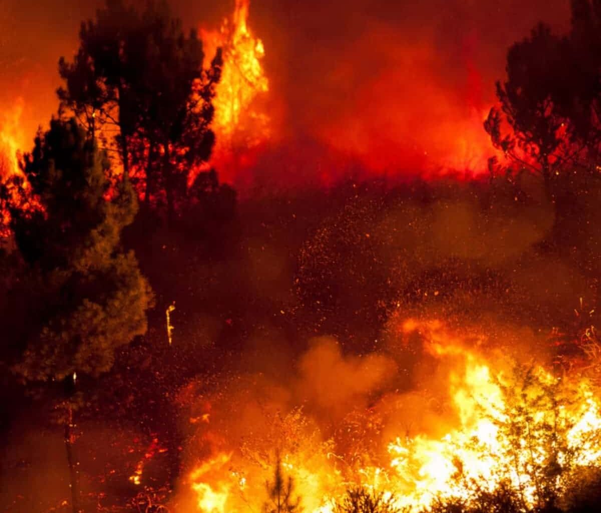 landscape-climate-projections