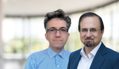 Nanoparticles in Alzheimer’s disease: a new frontier in diagnosis and therapy