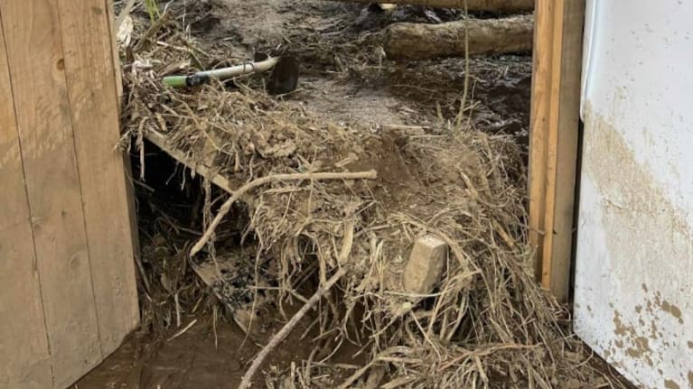 Logs have ended up on the property.