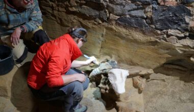 Winemaker uncovers mammoth bones while renovating his cellar