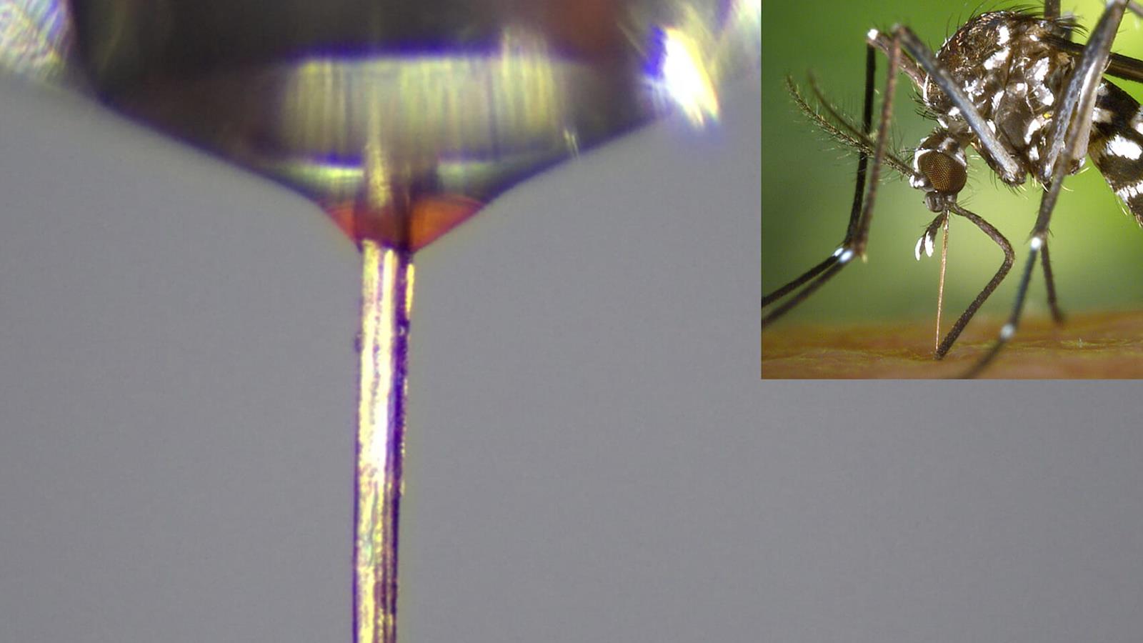 mosquito proboscis 3D printing tip