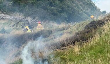 Firefighters battle hotspots after scrub fire on Mount Wellington