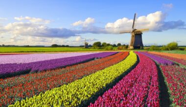 Enhancing A/B Testing at DoorDash with Multi-Armed Bandits