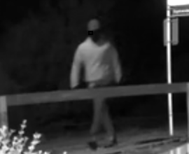 Faceless mystery man sought over Hāwea crime spree