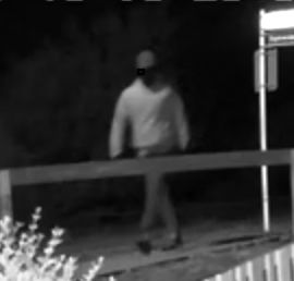 Faceless mystery man sought over Hāwea crime spree