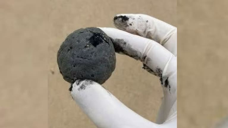 Mysterious black balls washed up on Sydney beaches.