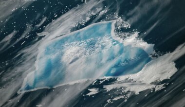 Astronaut Photographs Iceberg From Space Just 'Days or Weeks' Before it Disintegrates