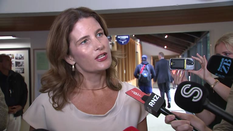 National Party deputy leader Nicola Willis