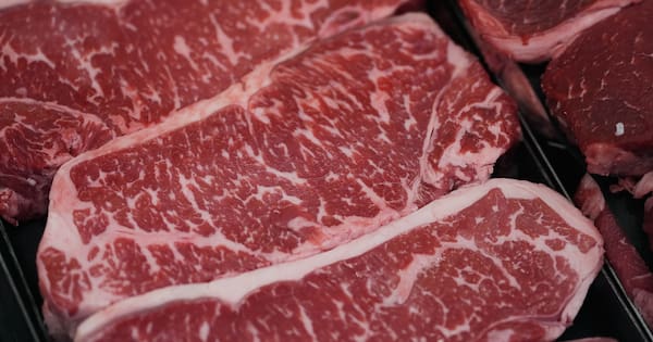 New diet guide says double up on protein – nutrition experts are wary