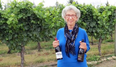 Govt tourism campaign to target lower South Island