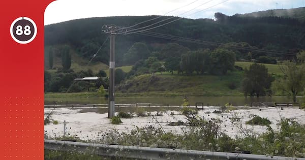 News in 90 Seconds January 22