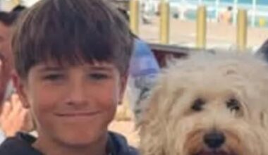 Sydney boy in shark attack hanging on