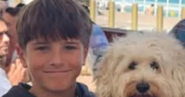 Sydney boy in shark attack hanging on