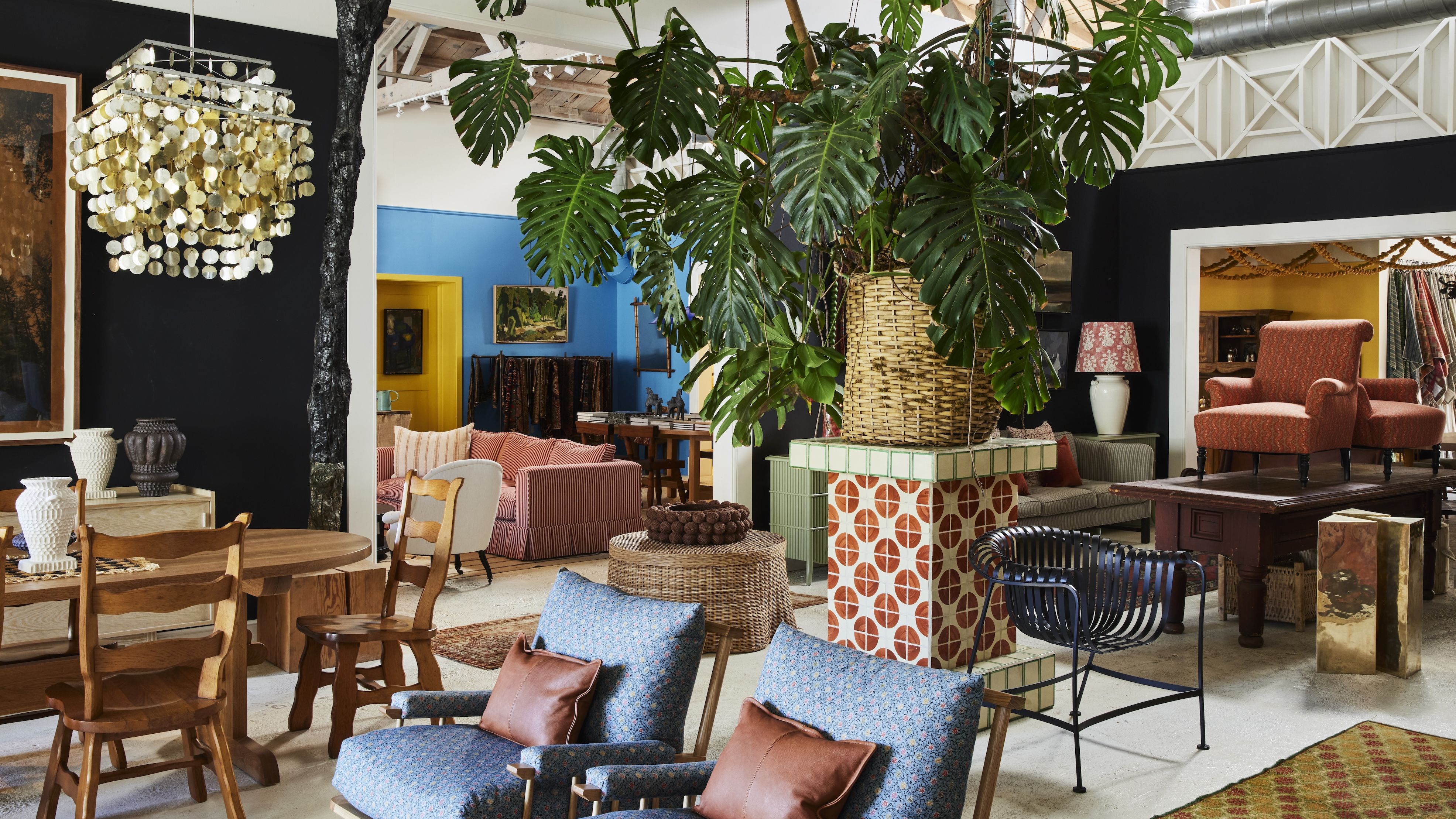 A view of Nickey Kehoe's LA store, with a mix of furniture around a large leafy plant, all beneath a skyllight.