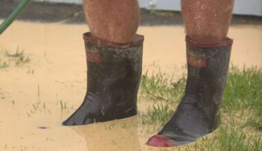 Record ocean heat behind NZ's summer soaking