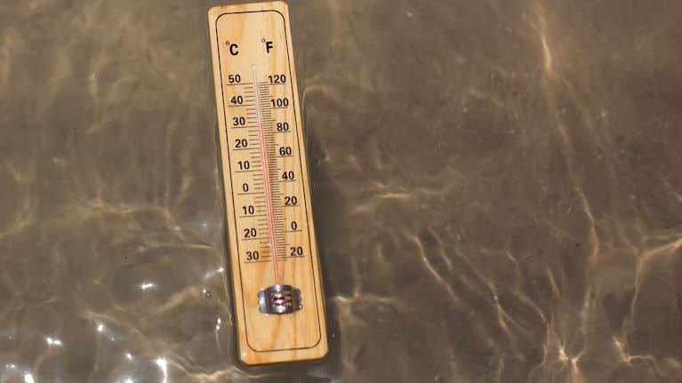 More than 90% of Earth’s energy imbalance now ends up in the ocean (file image).