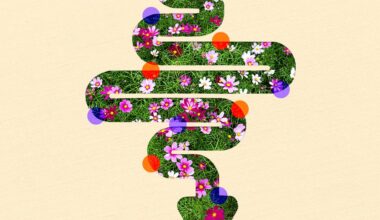 Better Gut Health Starts with These Easy Habits for Digestion