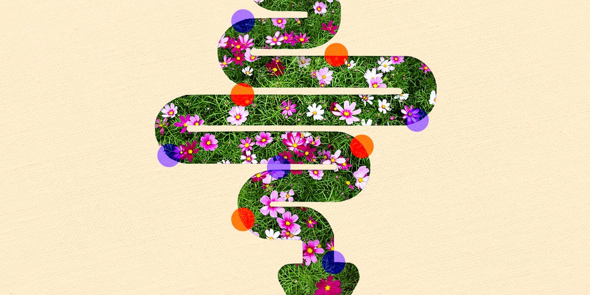 Better Gut Health Starts with These Easy Habits for Digestion