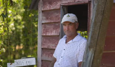 Wife laughing with husband when tree fatally hit him