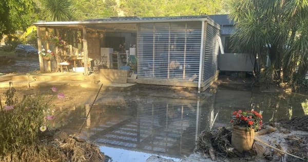 Te Araroa grandmother's harrowing flood escape
