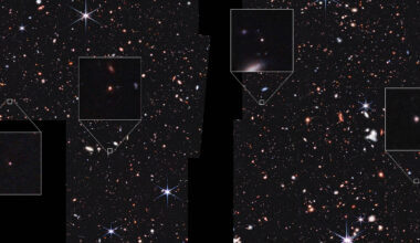 Webb finds 'platypus' galaxies that defy current cosmic categories