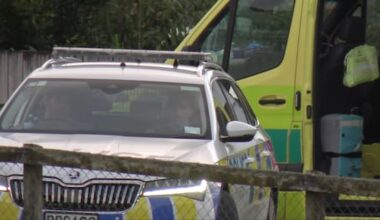 Investigation launched after dog attack in Auckland injures two people