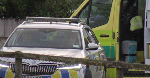 Investigation launched after dog attack in Auckland injures two people