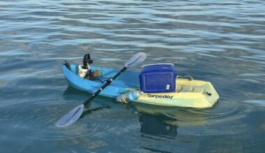 Appeal for info after unoccupied kayak found off Auckland's Beachlands