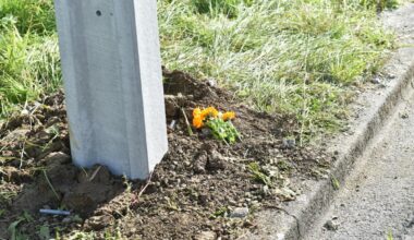 Port Chalmers crash leaves one dead, two injured