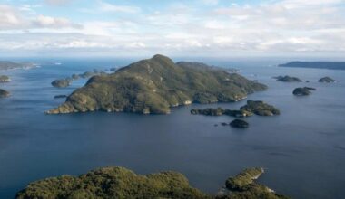 Deer removed from conservation islands