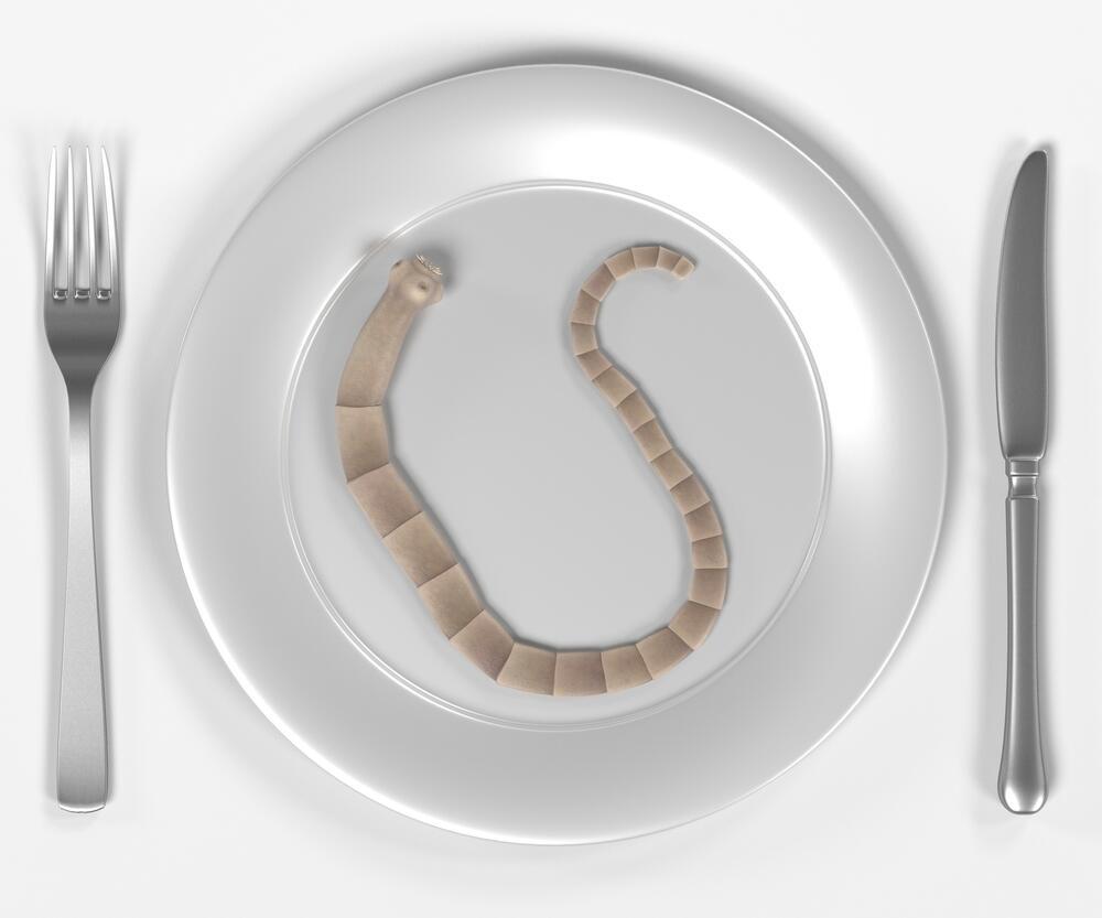 The tapeworm diet, one of the most dangerous weight-loss trends (Photo: Shutterstock) דיאטת תולעת הסרט