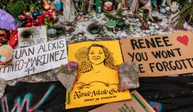 Slain Minneapolis Mom Renee Good Is Being Turned into Bizarre AI Slop