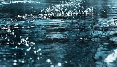 Two dead, one missing after three seperate water-related incidents