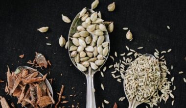 Why Fiber Is the New Frontier of Wellness and Longevity