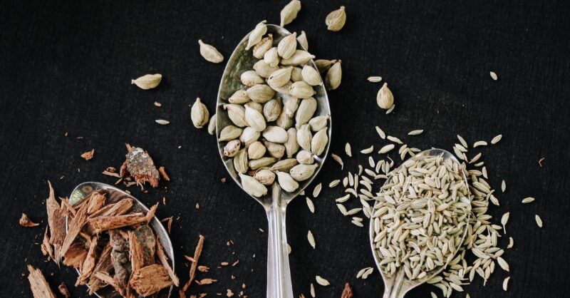 Why Fiber Is the New Frontier of Wellness and Longevity