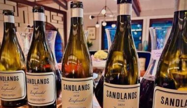 Chris Shepherd gives thanks for underrated wine and talented Houston doctors