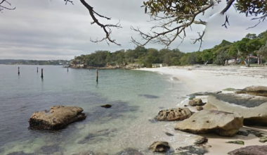 Boy leapt into water to rescue mate in Sydney shark attack
