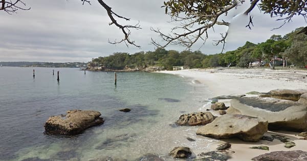 Boy leapt into water to rescue mate in Sydney shark attack