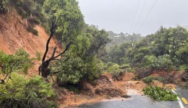 What’s driving this tropical low to dampen our summer?