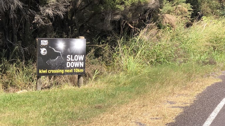 Russell Landcare Trust trustee and technical advisor Nik Minchin said the trust didn't get much feedback on their "slow down" signs.