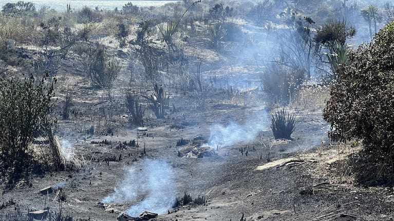 Smouldering vegetation pictured at Tahunanui Beach in Nelson this morning.