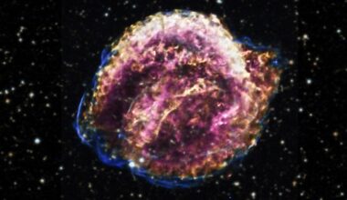 Watch a Supernova's Expansion Over 25 Years in Dramatic NASA Timelapse : ScienceAlert