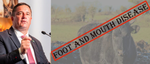 John Steenhuisen Fmd Update