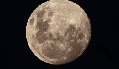 First supermoon of 2026 to light up New Zealand skies